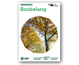 Bosbelang